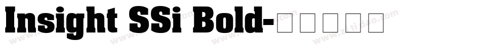 Insight SSi Bold字体转换